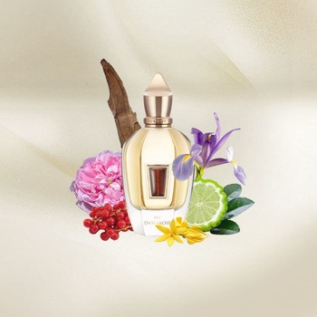 17/17 Damarose EDP